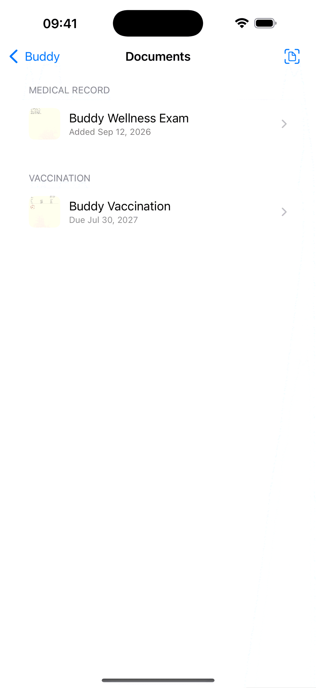 Buddy's documents grouped by category, a wellness exam under Medical Record and a vaccination certificate under Vaccination with its next due date