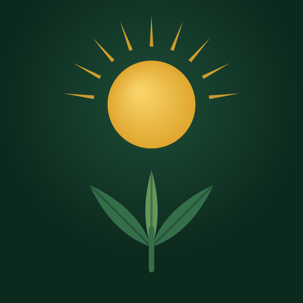 Solspot