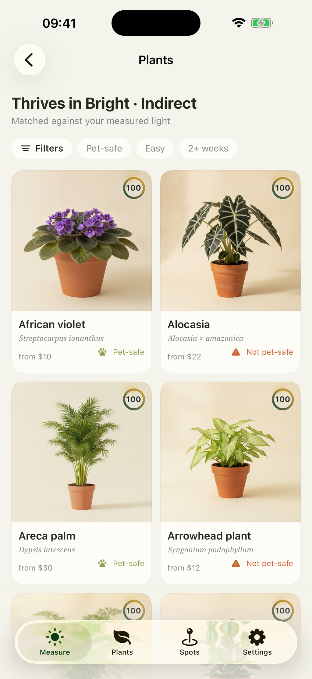 Plants matched to the measured light, with pet safety on each card