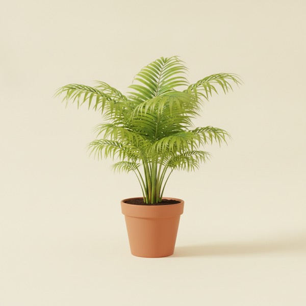 Parlour palm (Chamaedorea elegans)