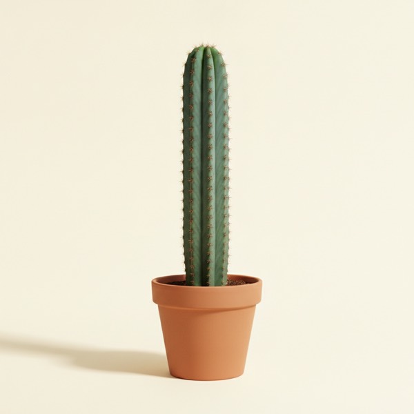 Peruvian apple cactus (Cereus repandus)